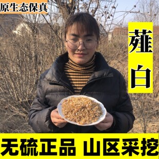 薤白野薤野葱薤白头野白头薤根山蒜野蒜苦蒜小根蒜小独蒜中药材