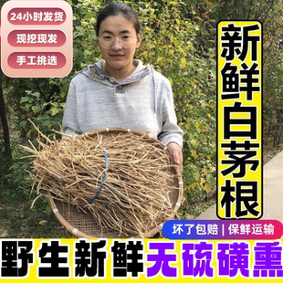 野生新鲜现挖带皮白茅根 茅草根 白毛根丝毛根天然中药材凉茶茅根