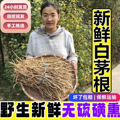 野生新鲜现挖白毛根白茅根去皮