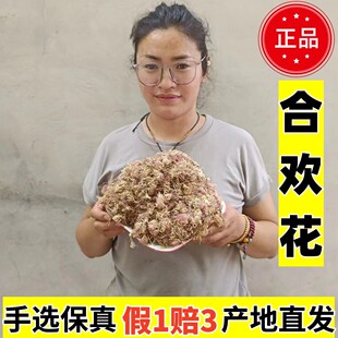 山东野生合欢花中药材夜合欢绒树花鸟绒树花苦情花 可泡茶做枕头