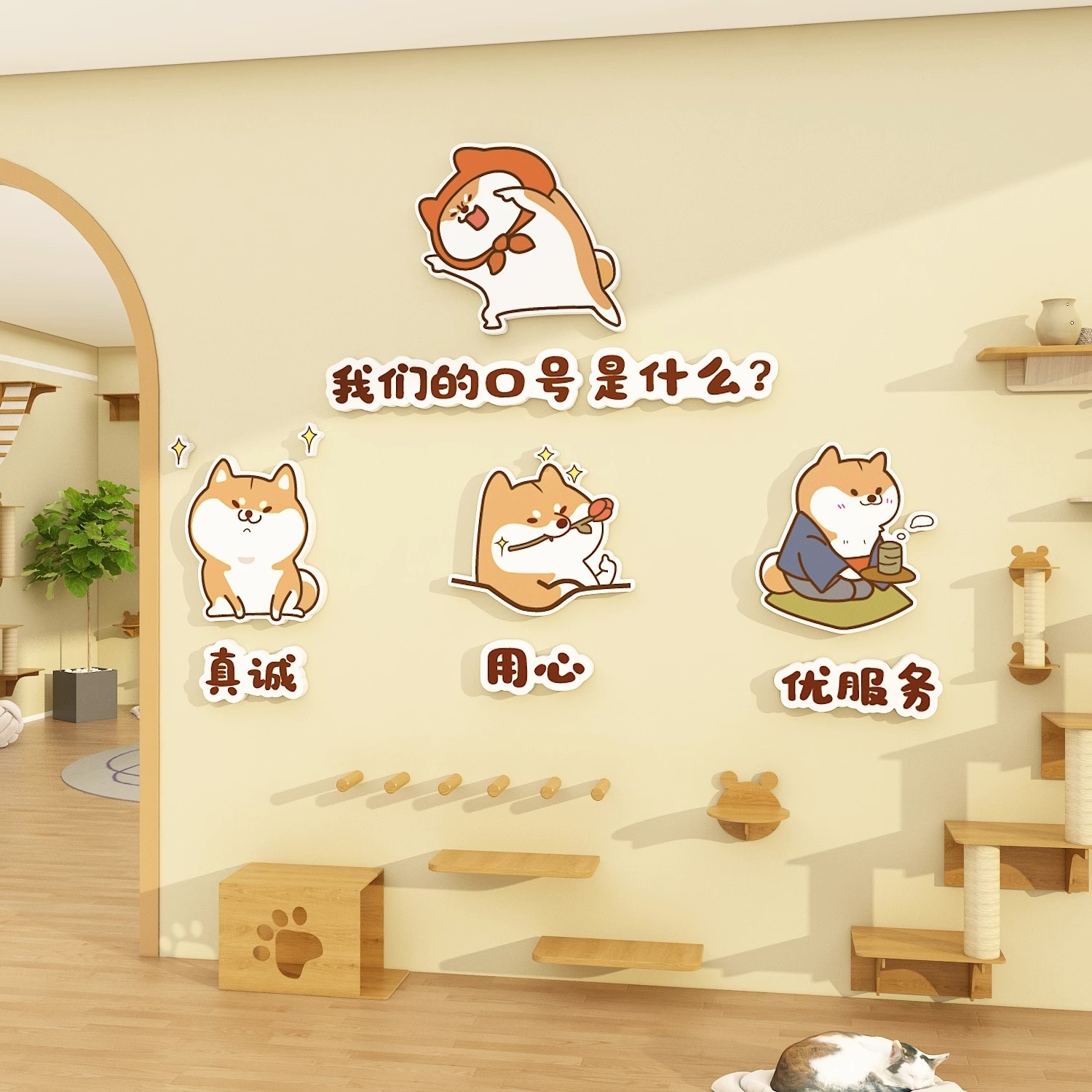 网红宠物店墙面装饰画用品猫