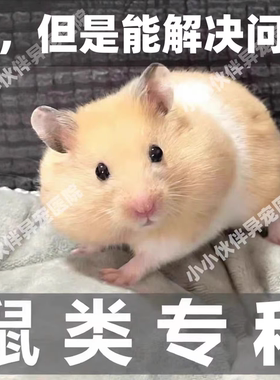 异宠医生线上咨询24小时小香猪荷兰猪仓鼠医生花枝鼠兔子问诊看病