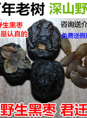 无加工黑枣特级 大黑枣野生君迁子颗颗精选500克新货八大核药用