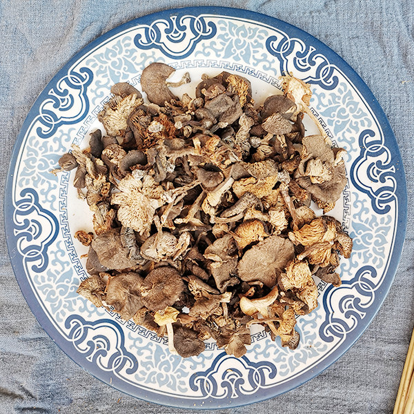 山西特产五台山野生台蘑羊眼子新鲜蘑菇干货香菇500克食用野生菌