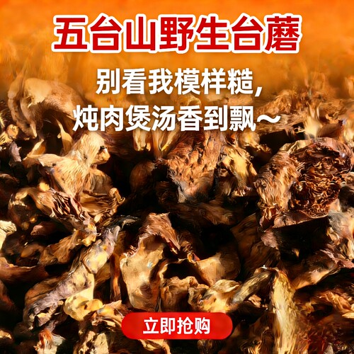 山西忻州特产五台山野生台蘑秋露白蘑菇烘干食用菌煲汤火锅年货