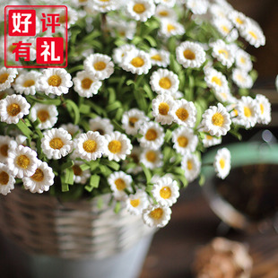 饰小野菊摆件 田园小雏菊仿真花洋甘菊餐桌假花摆设干花花束客厅装