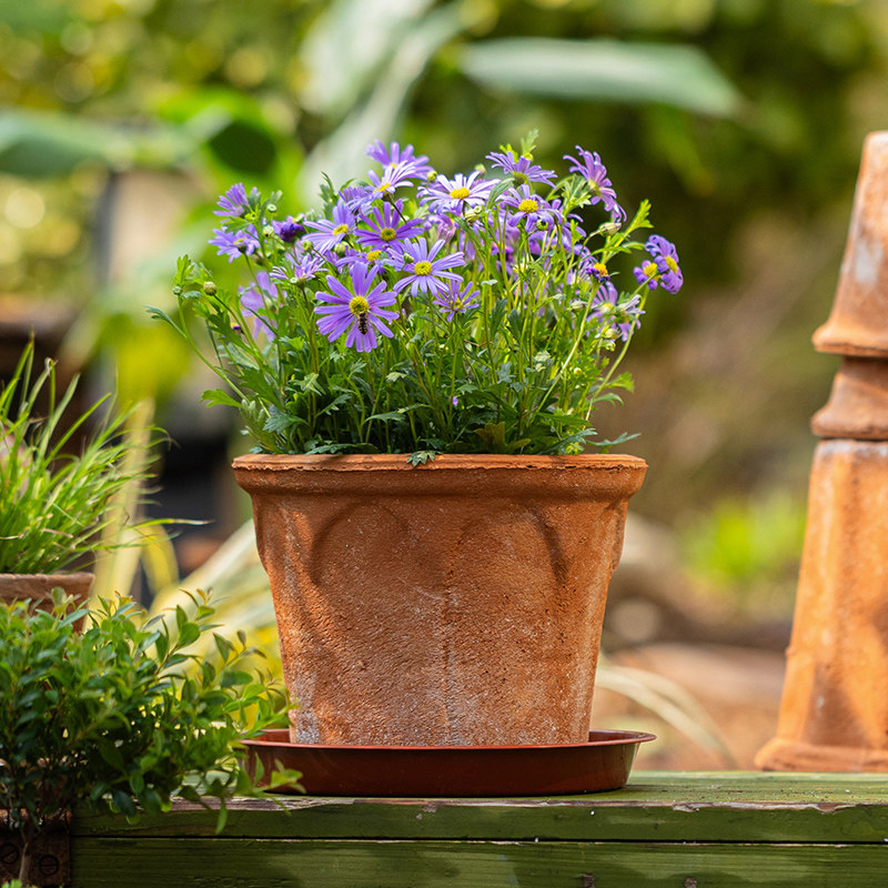 掬涵复古简约红陶花盆透气插花粗陶吸水陶土花器家居客厅阳台摆件,家居饰品,花盆,淘宝优惠券,粉丝福利购,淘宝优惠卷
