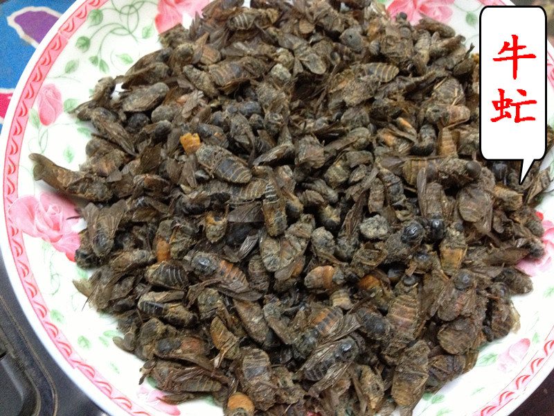 虻虫中药材牛苍蝇牛虻牛牤虫 牛氓虫 免费打牛虻虫粉250克