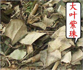 中药材大叶紫珠500g紫珠草 紫珠叶 紫竹叶白骨风大风叶正品