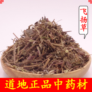 中药材飞扬草500g 干品大飞扬草 大乳汁草 节节花白乳草天然