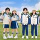 套装 幼儿园园服夏季 运动风纯棉毕业儿童运动会班服小学生校服夏季