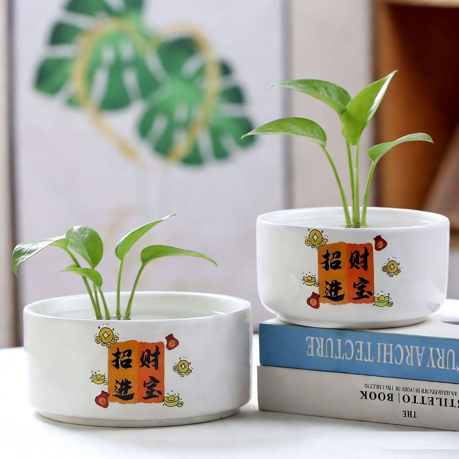 水培花盆陶瓷带托盘金钱草睡莲桌面装饰水仙花一叶莲中大号无孔