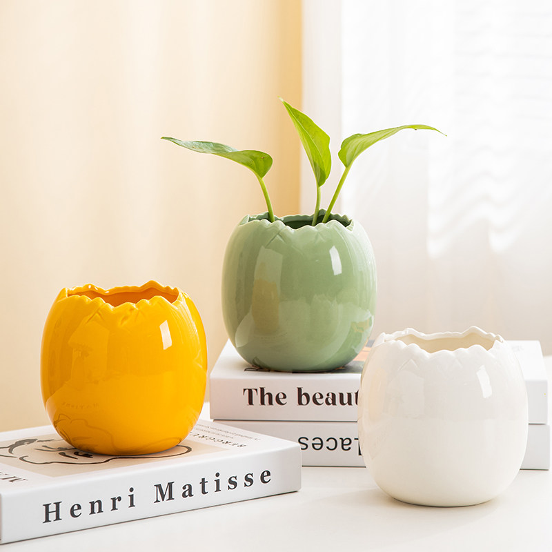 特价清仓水培绿植绿萝铜钱草简约创意桌面摆件装饰陶瓷花盆