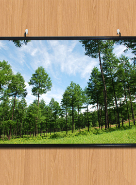 茂盛森树林田园风光自然山水风景绿色护眼玄关装饰贴墙挂画海报
