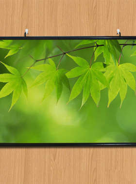 绿色护眼装饰画客厅清新现代简约壁画家装饰品沙发墙玄关财运挂画