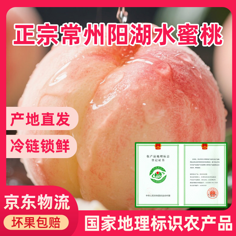 【3-4两】正宗阳湖水蜜桃日川新鲜香甜爆汁现摘现发礼盒装