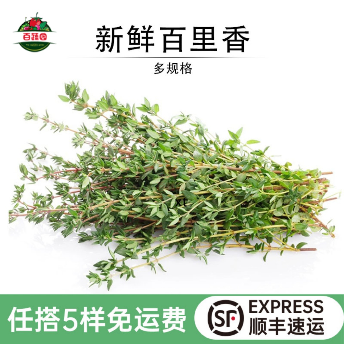 西餐牛排香料调料菜百里香山胡椒