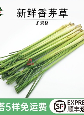 新鲜香茅草柠檬草叶奶茶店饮品提香菜泰式冬阴功汤底原料香料蔬菜