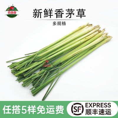 奶茶店用品冬阴功火锅新鲜香茅草