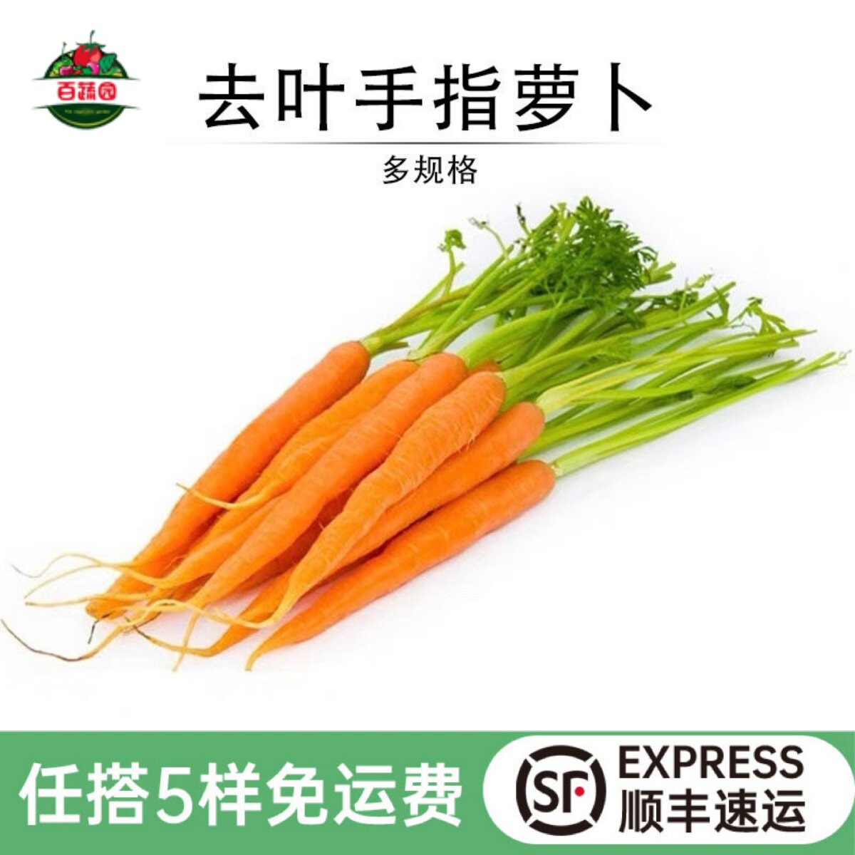新鲜去叶手指胡萝卜迷你水果小胡萝卜西餐厅沙拉食材宝宝辅食蔬菜