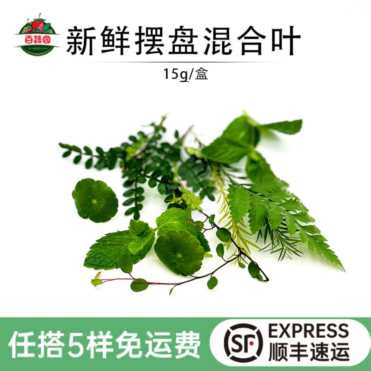 现摘先发西餐摆盘蛋糕装饰混合草