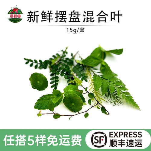 西餐摆盘蛋糕装饰点缀新鲜混合草