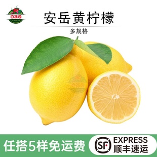 四川安岳黄柠檬新鲜水果奶茶店专用泡水饮料皮薄多汁一级好果柠檬