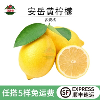 新鲜水果泡水饮料四川安岳黄柠檬