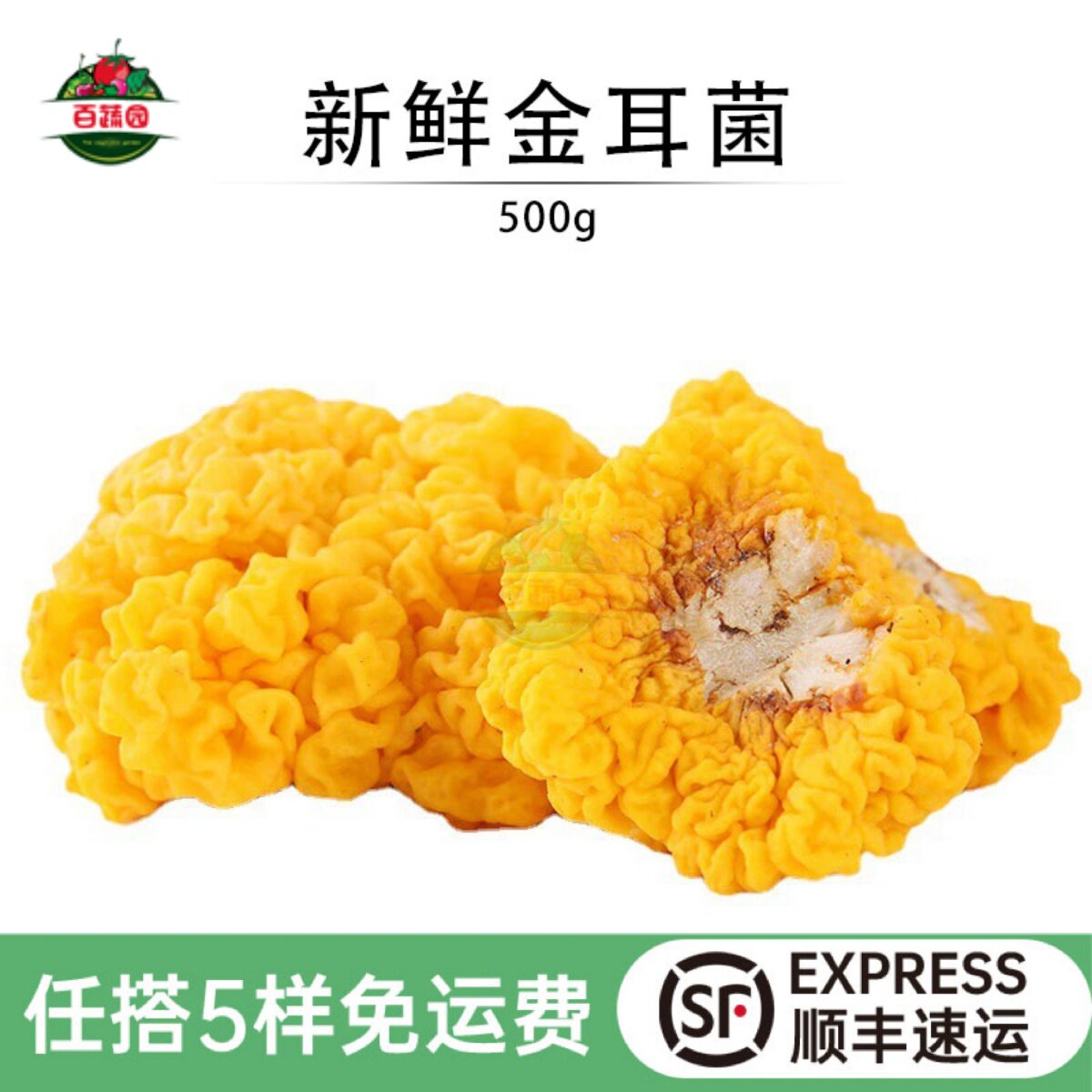新鲜金耳菌火锅煲汤食材菌菇顺丰