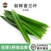 新鲜斑斓叶香兰叶班兰叶蛋糕千层糕芒果糯米饭斑斓冻甜品摆盘叶草