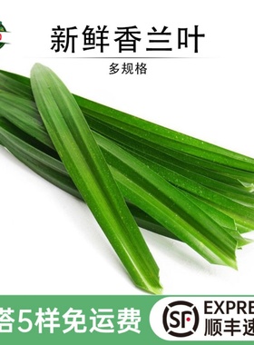 新鲜斑斓叶香兰叶班兰叶蛋糕千层糕芒果糯米饭斑斓冻甜品摆盘叶草
