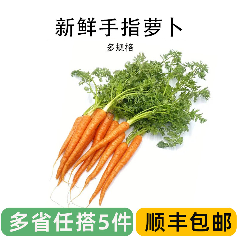 西餐沙拉食材蔬菜新鲜手指萝卜