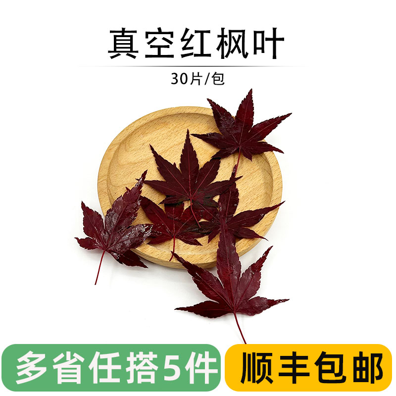 红枫叶新鲜真空盐渍枫树叶摆盘