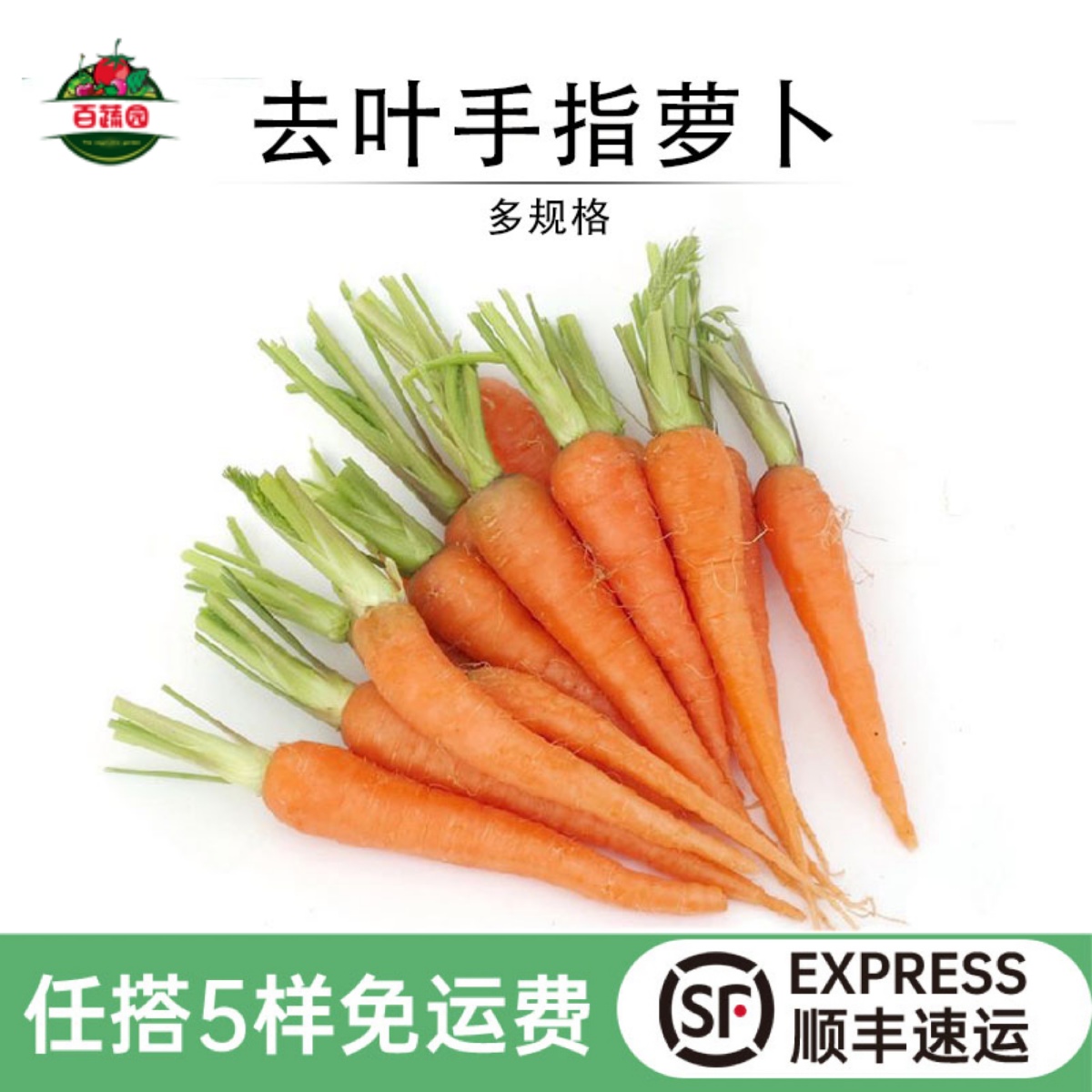 新鲜去叶手指胡萝卜西餐沙拉食材