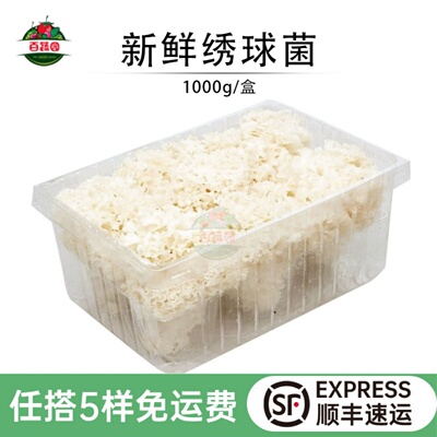 新鲜绣球菌食用蘑菇顺丰2斤装
