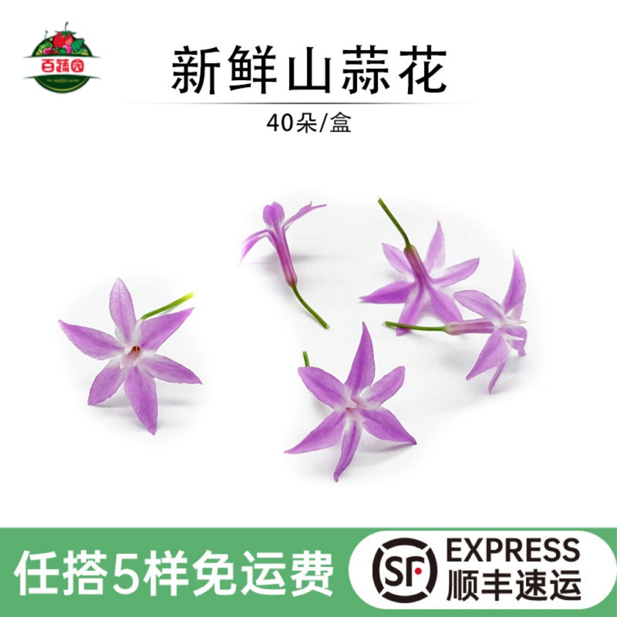 山蒜花新鲜星光璨星花摆盘装饰花