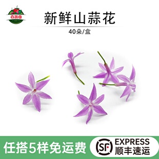 新鲜山蒜花40朵食用花星光璀璨花繁星花西餐摆盘蛋糕装饰点缀花草