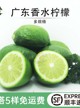 新鲜广东香水柠檬奶茶店饮品专用水果皮薄多汁香味浓郁一级青柠檬