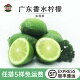 新鲜广东香水柠檬奶茶店饮品专用水果皮薄多汁香味浓郁一级青柠檬