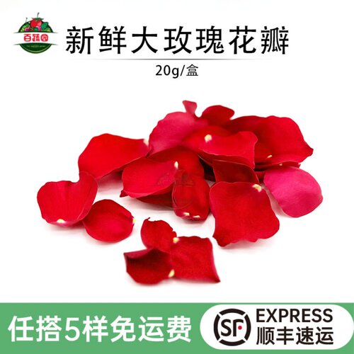新鲜大玫瑰花瓣美观蛋糕装饰花草