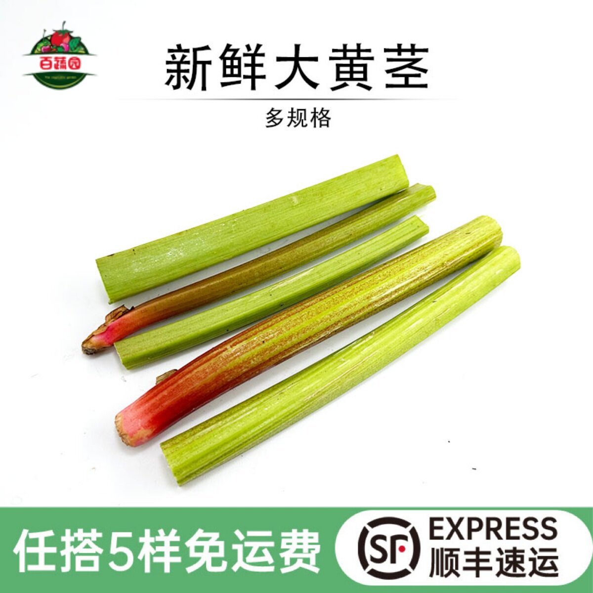 新鲜大黄茎沙拉酱果食材
