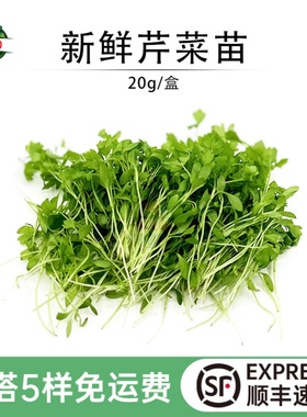 新鲜芹菜苗 香芹苗三叶香可食用蔬菜酒店西餐摆盘冷艺装饰点缀芽