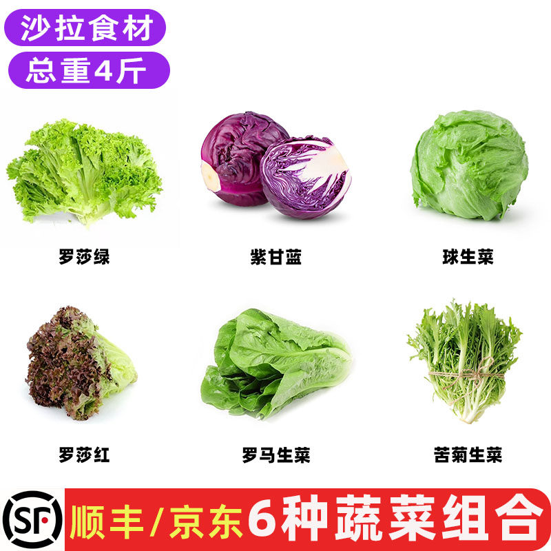 新鲜沙拉蔬菜组合紫甘蓝红叶苦菊西生菜绿毛罗马生菜轻食食材包邮,水产肉类/新鲜蔬果/熟食,其它,淘宝优惠券,粉丝福利购,淘宝优惠卷