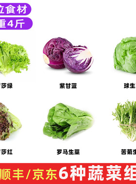 新鲜沙拉蔬菜组合紫甘蓝红叶苦菊西生菜绿毛罗马生菜轻食食材包邮
