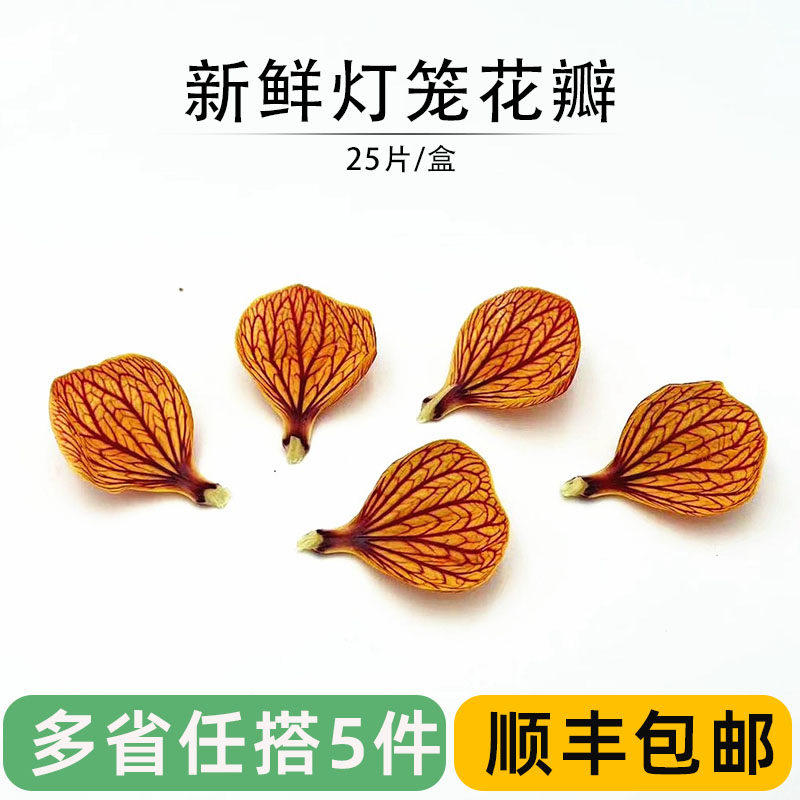 新鲜灯笼花瓣金玲花风铃花西餐酒店摆盘装饰蛋糕日料点缀花草25片,水产肉类/新鲜蔬果/熟食,其它,淘宝优惠券,粉丝福利购,淘宝优惠卷