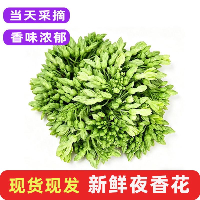 夜来香新鲜夜香花食用月见草上汤农庄特色菜味浓西餐装饰食材包邮