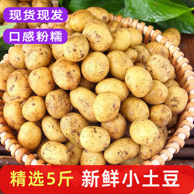 新鲜黄心迷你云南小土豆粉糯洋芋马铃薯自产现挖农家自种包邮蔬菜,水产肉类/新鲜蔬果/熟食,其它,淘宝优惠券,粉丝福利购,淘宝优惠卷