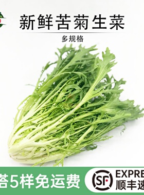 苦菊生菜新鲜九芽苦苣细叶西餐摆盘轻食健身清洗即食沙拉蔬菜食材