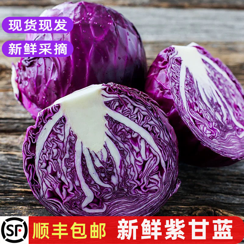 新鲜紫甘蓝紫包菜紫色卷心菜西餐厅沙拉食材榨汁轻食蔬菜包邮