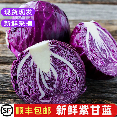 新鲜紫甘蓝沙拉食材榨汁轻食蔬菜